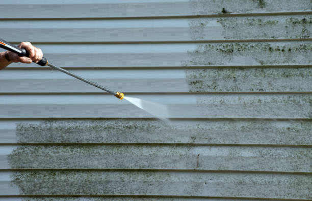 Best Pressure Washing Driveway  in Summit Hill, PA